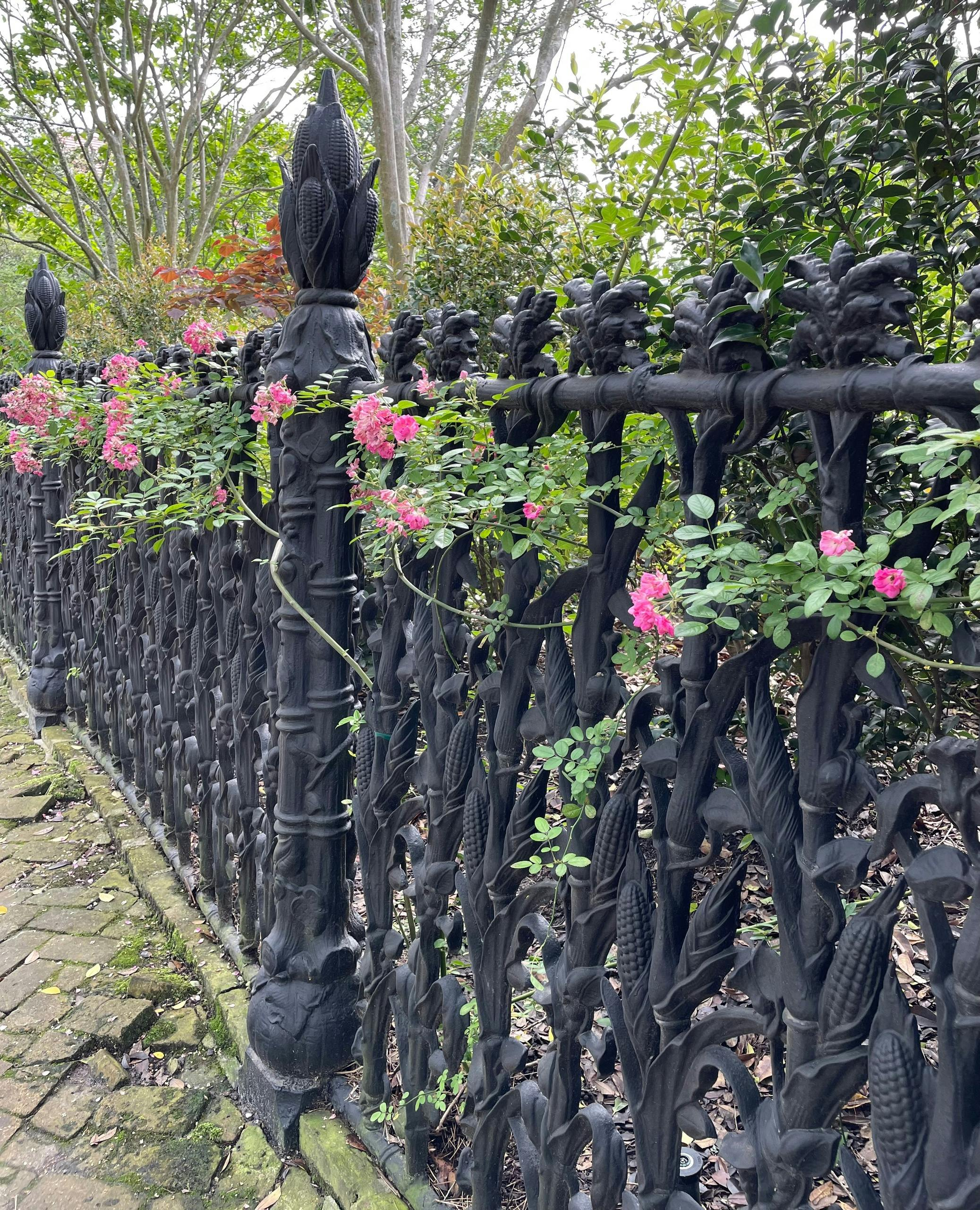 Garden District Tour - Photo 1 of 8